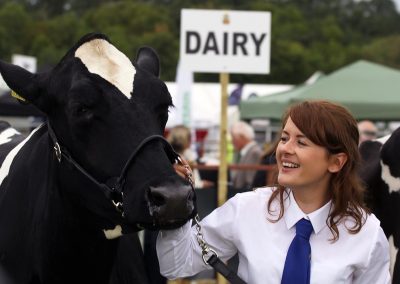 Usk Show Agriculture Cattle