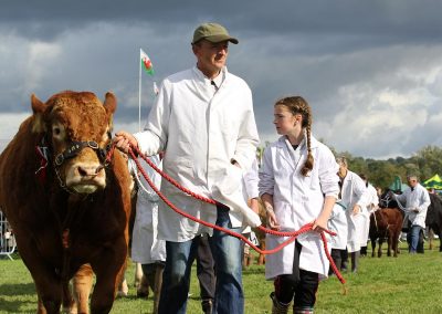 Usk Show Exhibitors Agriculture Livestock Cattle