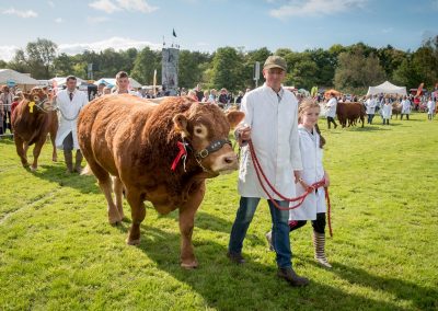 Usk Show Agriculture Cattle