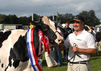 Usk Show Agriculture Cattle