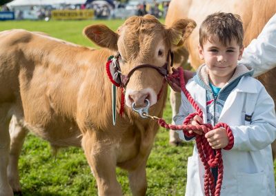 Usk Show Agriculture Cattle