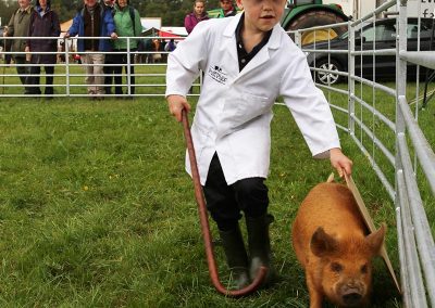 Usk Show Agriculture Pigs