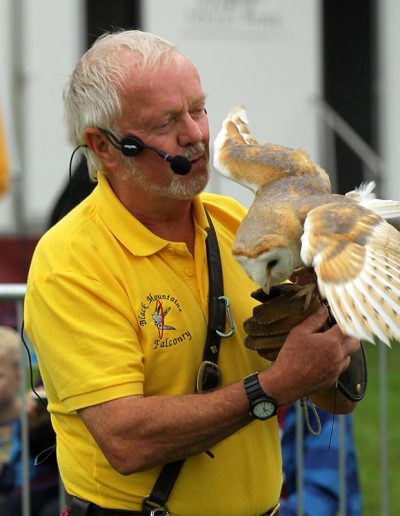 Usk Show Attractions Falconry