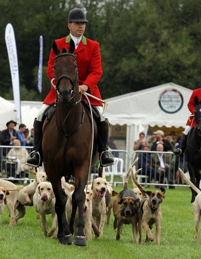 Usk Show Attractions Hunting Dogs