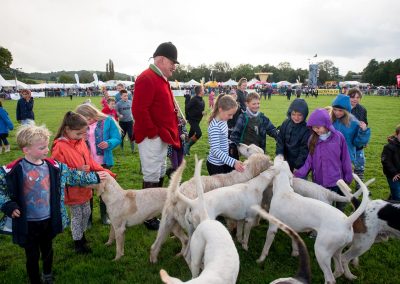 Usk Show Attractions Hunting Dogs