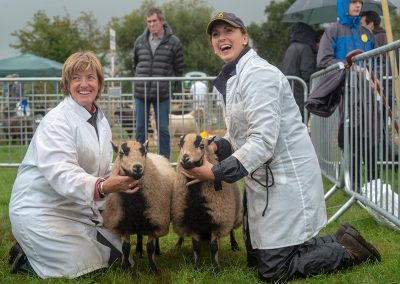 Usk Show Exhibitors Agriculture Livestock Sheep