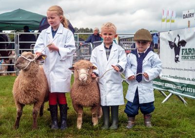 Usk Show Exhibitors Agriculture Livestock Sheep