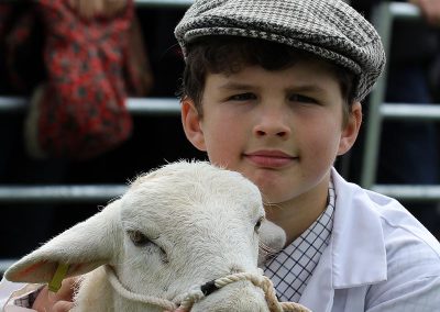 Usk Show Exhibitors Agriculture Livestock Sheep