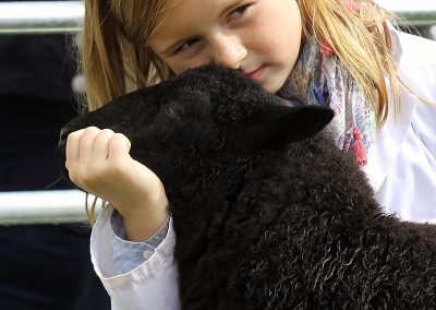 Usk Show Exhibitors Agriculture Livestock Sheep