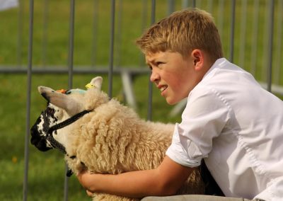 Usk Show Exhibitors Agriculture Livestock Sheep