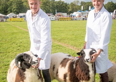 Usk Show Exhibitors Agriculture Livestock Sheep