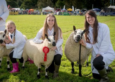 Usk Show Exhibitors Agriculture Livestock Sheep