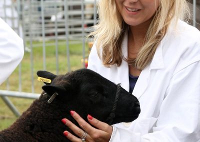 Usk Show Exhibitors Agriculture Livestock Sheep