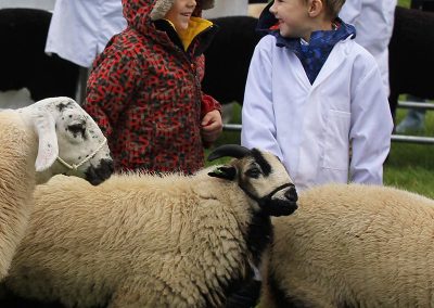 Usk Show Exhibitors Agriculture Livestock Sheep