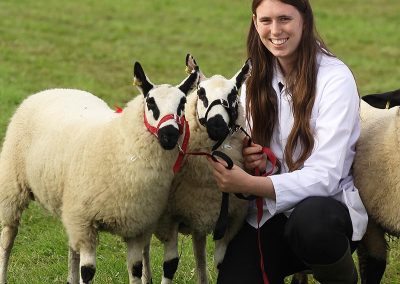 Usk Show Exhibitors Agriculture Livestock Sheep