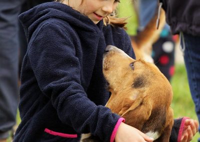 Usk Show Exhibitors Dogs