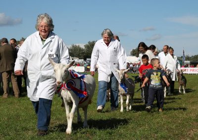 Usk Show Exhibitors Goats