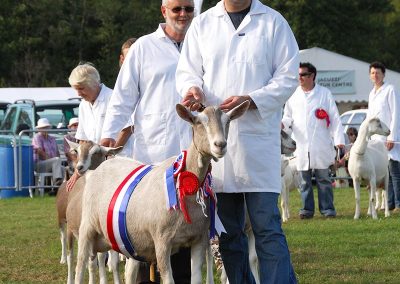 Usk Show Exhibitors Goats