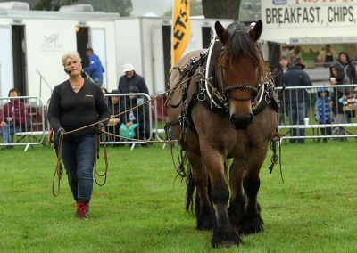 Usk Show Exhibitors Horses Show Classes