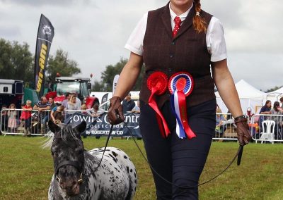 Usk Show Exhibitors Horses Show Classes