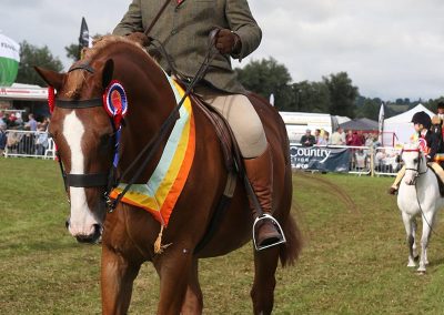 Usk Show Exhibitors Horses Show Classes