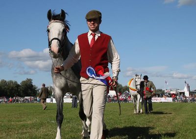 Usk Show Exhibitors Horses Show Classes