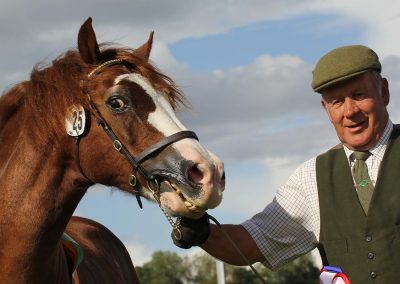 Usk Show Exhibitors Horses Show Classes