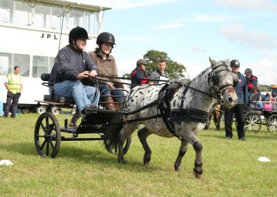 Usk Show Exhibitors Horses Show Classes