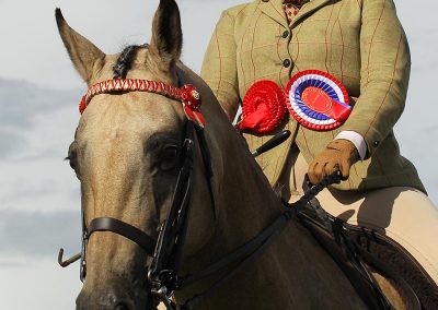 Usk Show Exhibitors Horses Show Classes