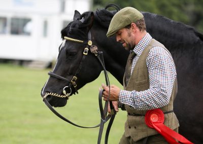 Usk Show Exhibitors Horses Show Classes