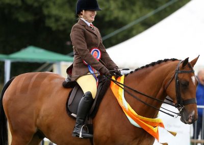 Usk Show Exhibitors Horses Show Classes