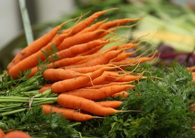 Usk Show Exhibitors Horticulture