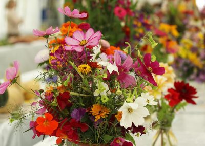 Usk Show Exhibitors Horticulture