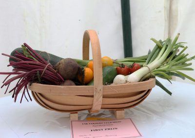 Usk Show Exhibitors Horticulture