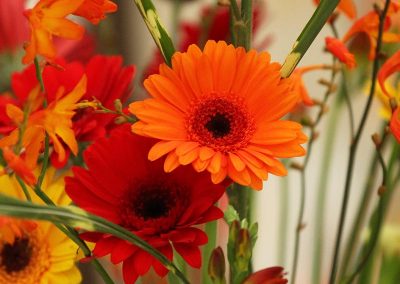 Usk Show Exhibitors Horticulture