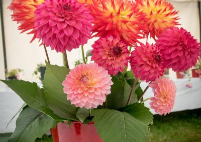 Usk Show Exhibitors Horticulture