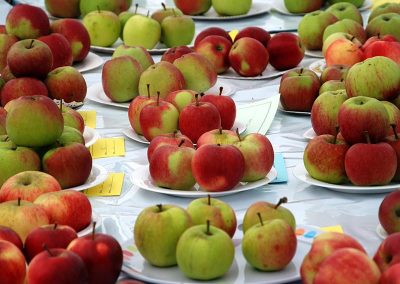 Usk Show Exhibitors Horticulture