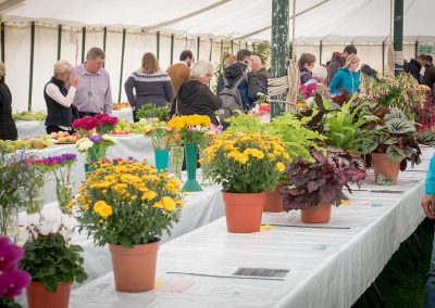 Usk Show Exhibitors Horticulture