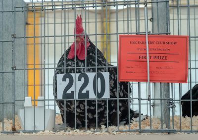 Usk Show Exhibitors Poultry