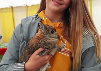 Usk Show Exhibitors Rabbits