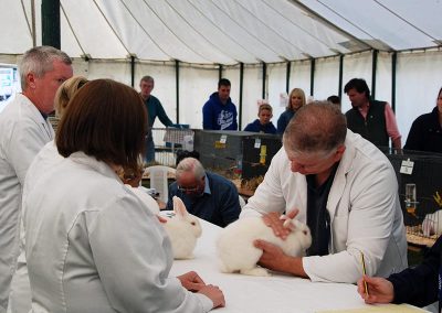 Usk Show Exhibitors Rabbits