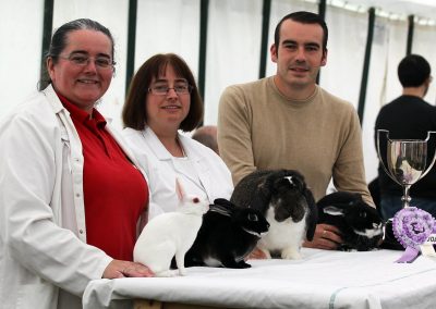 Usk Show Exhibitors Rabbits