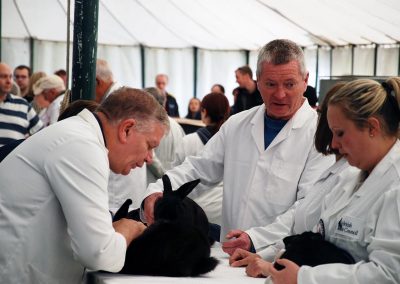 Usk Show Exhibitors Rabbits