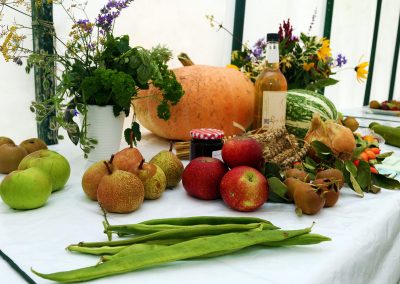 Usk Show Exhibitors Horticulture