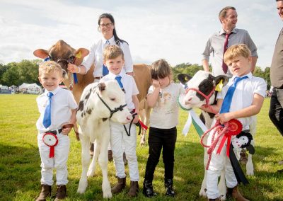 Usk Show Cattle 2021