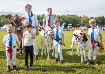 Usk Show Cattle 2021