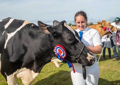 Usk Show Cattle 2021