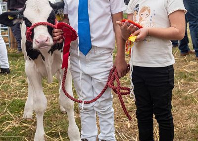 Usk Show Cattle 2021