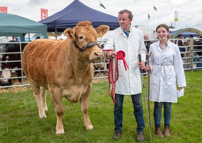 Usk Show Cattle 2021