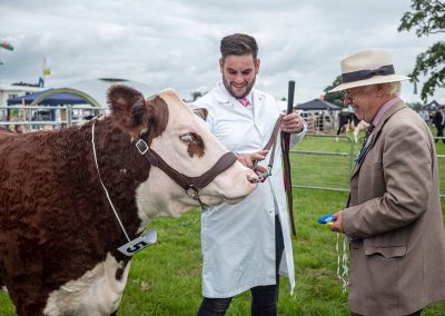 Usk Show Cattle 2021